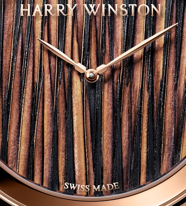 Harry Winston Midnight Feathers Watch dial detail - Perpetuelle